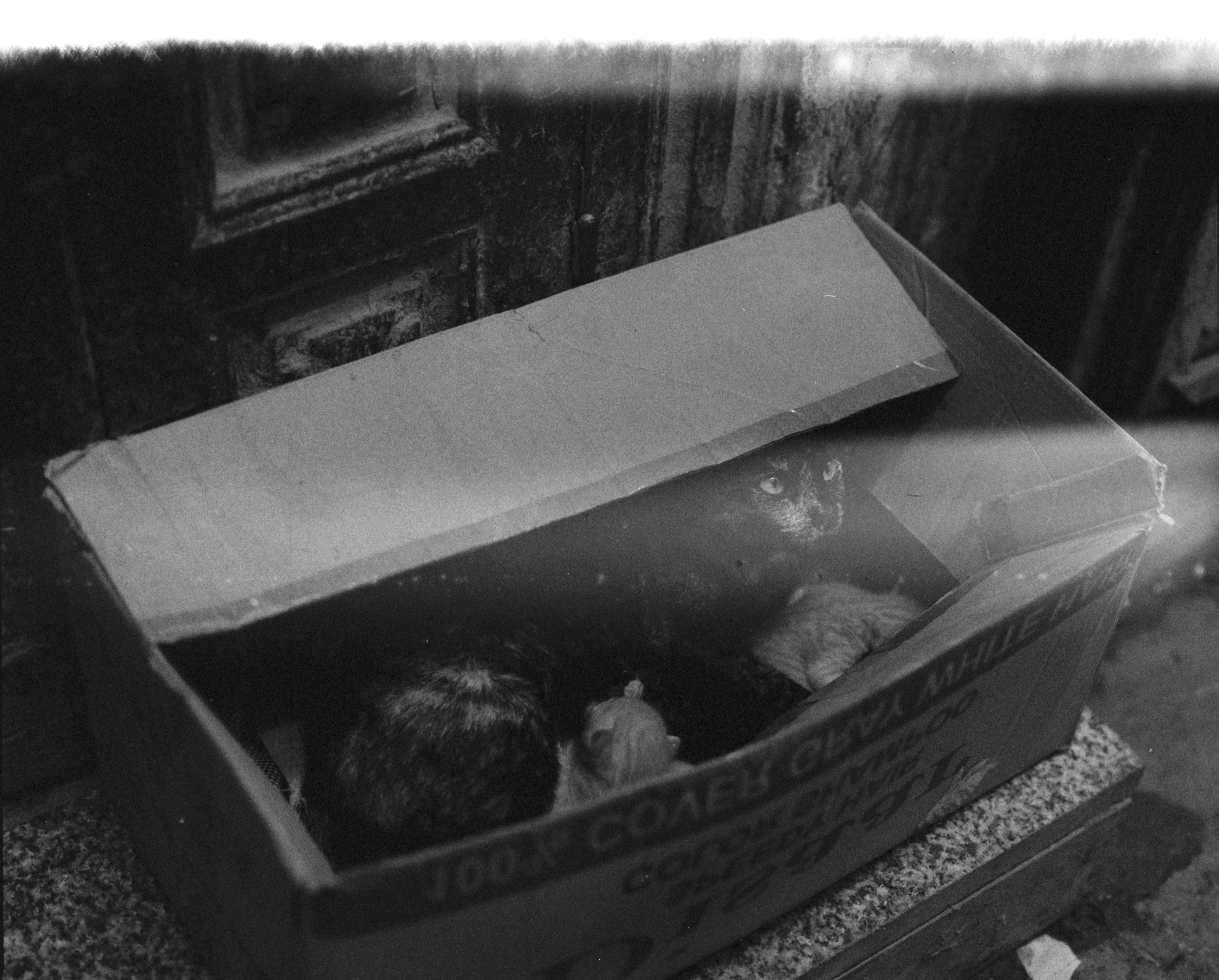 mateo trapero — 03